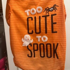 Orange Halloween Dog Costume - Too Cute to Spook Medium size